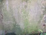 image of grave number 632532